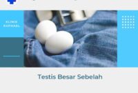 testis besar sebelah